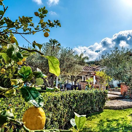 B&B Villa Bency กาโปดอร์ลันโด ภายนอก รูปภาพ