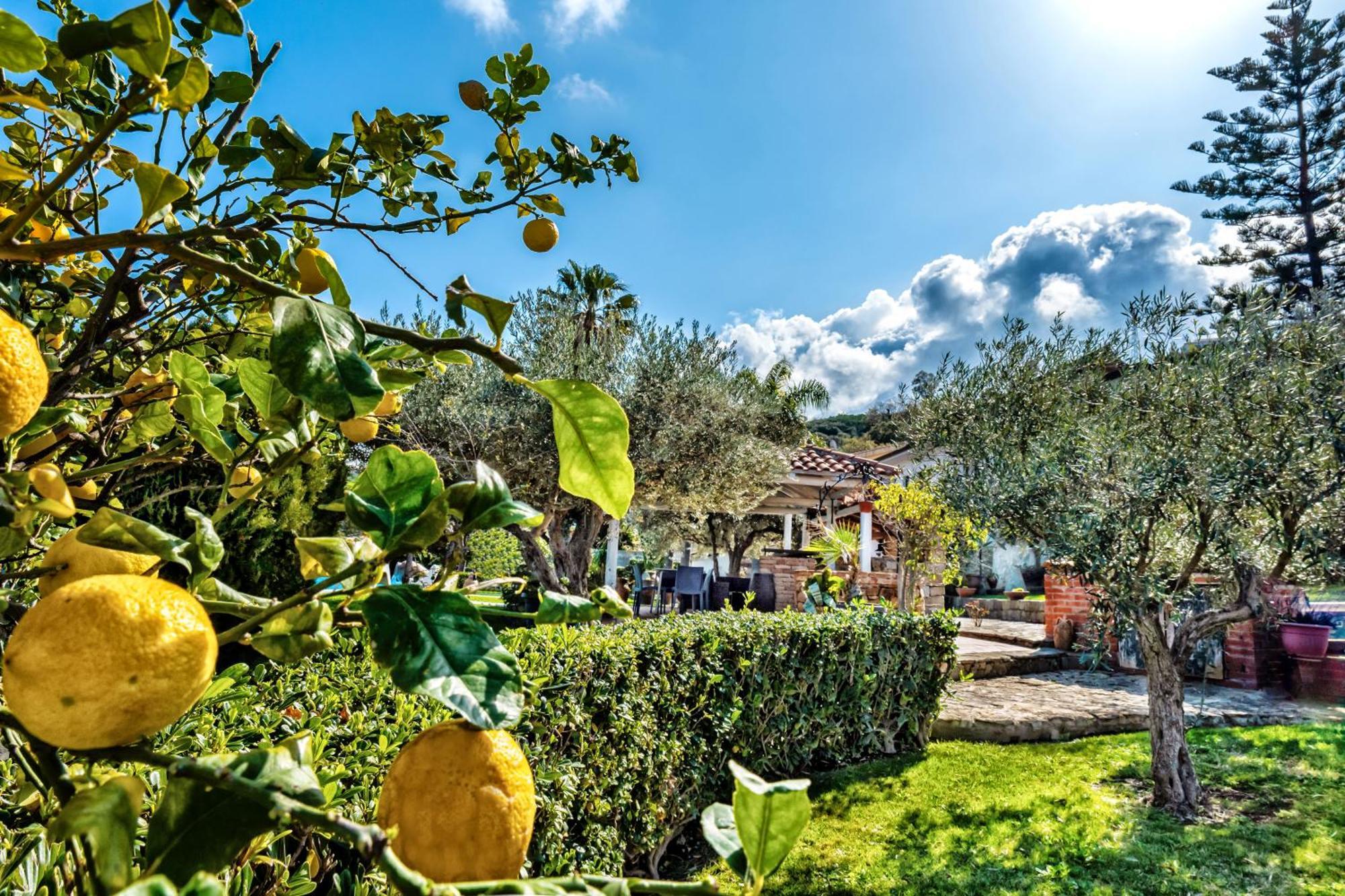 B&B Villa Bency กาโปดอร์ลันโด ภายนอก รูปภาพ